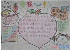 小学生关于孝在心中小白兔手抄报怎么画简单漂亮