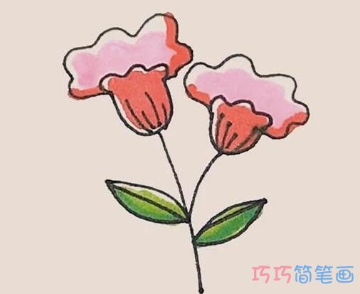 一步一步绘画鸡冠花简笔画教程涂颜色