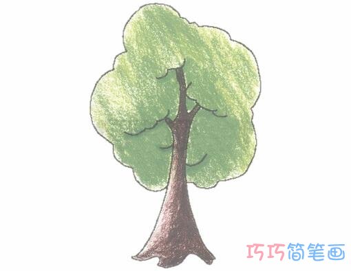 手绘一棵大树简笔画画法步骤教程涂颜色