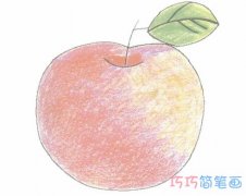 手绘红苹果简笔画画法步骤教程涂颜色