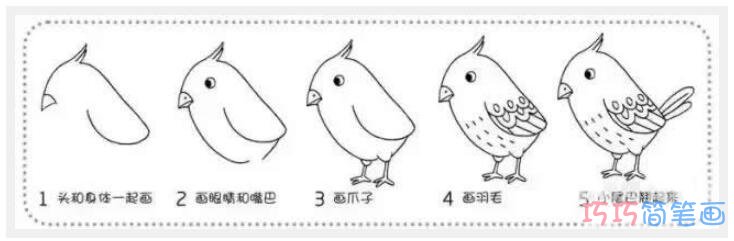 简单小麻雀的画法详细步骤图手绘