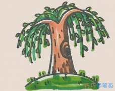 简单漂亮柳树简笔画画法教程彩色一步一步绘画