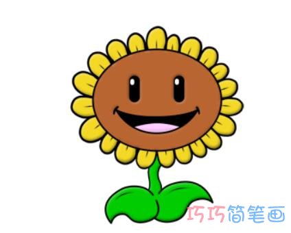 儿童画植物大战僵尸太阳花简笔画涂颜色可爱