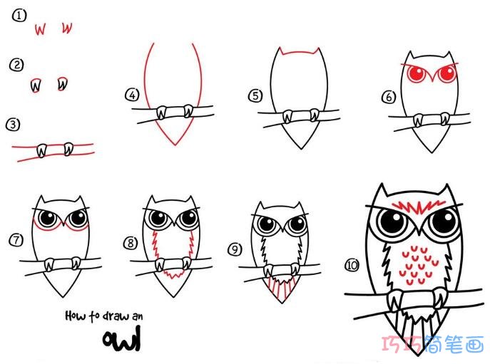儿童猫头鹰简笔画画法教程一步一步绘画