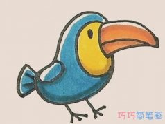 儿童长嘴鸟简笔画画法步骤图涂颜色简单