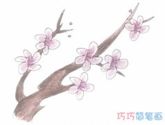 手绘梅花简笔画怎么画简单漂亮带步骤图