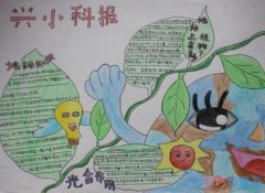 地球知识,植物光合作用科技手抄报简笔画一等奖