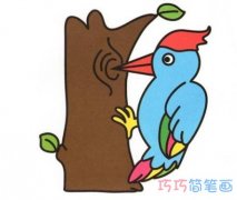幼儿园卡通啄木鸟简笔画 啄木鸟怎么画涂颜色