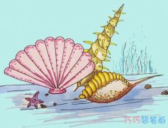 海洋贝壳手绘怎么画涂色简单漂亮步骤图