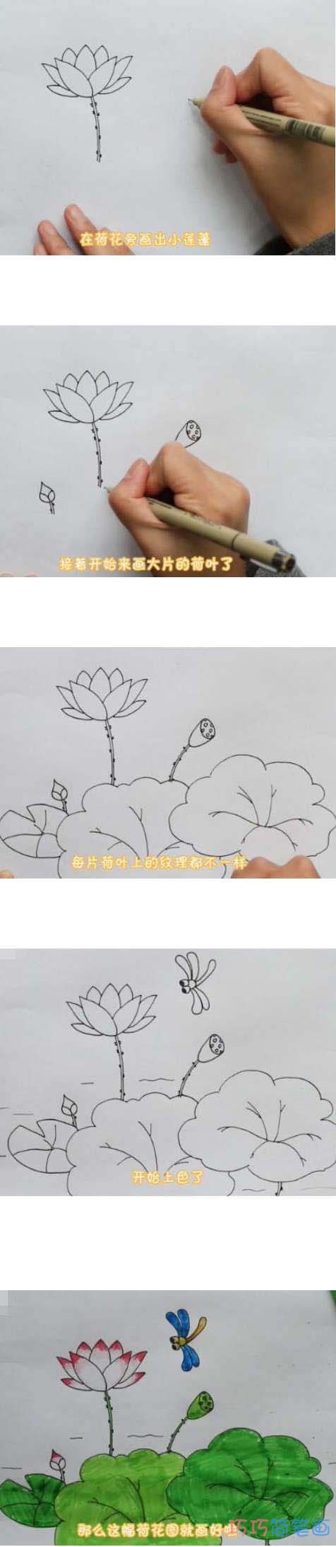 彩色荷花简笔画怎么画带步骤简单漂亮