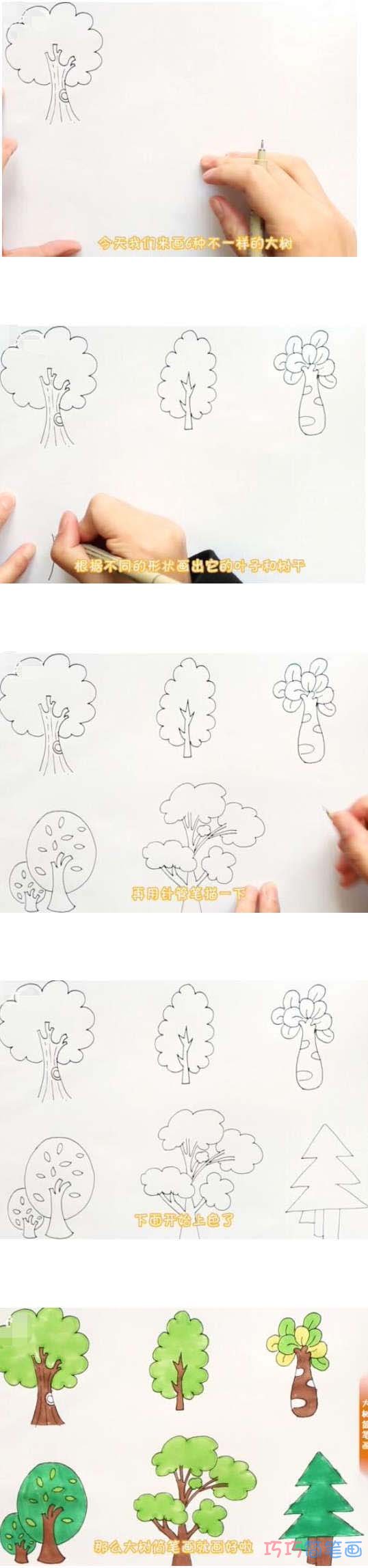 六种大树简笔画画法步骤教程彩色简单