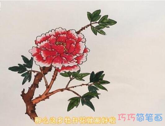 教你一步一步画牡丹花简笔画涂色简单漂亮