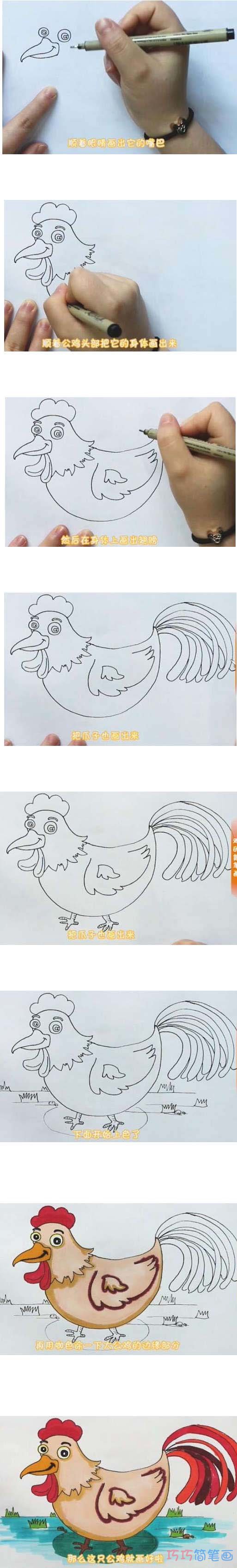 教你一步一步绘画公鸡简笔画涂色简单漂亮