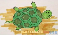 教你一步一步绘画小乌龟简笔画涂色简单好看