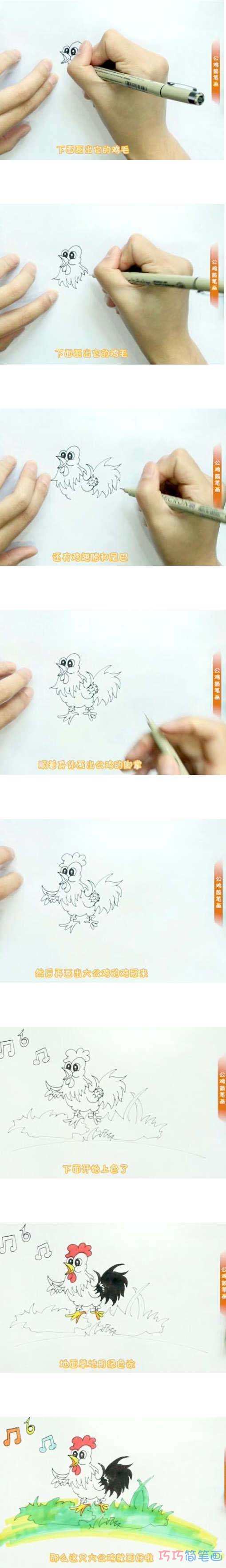 打鸣的公鸡简笔画怎么画涂颜色简单漂亮