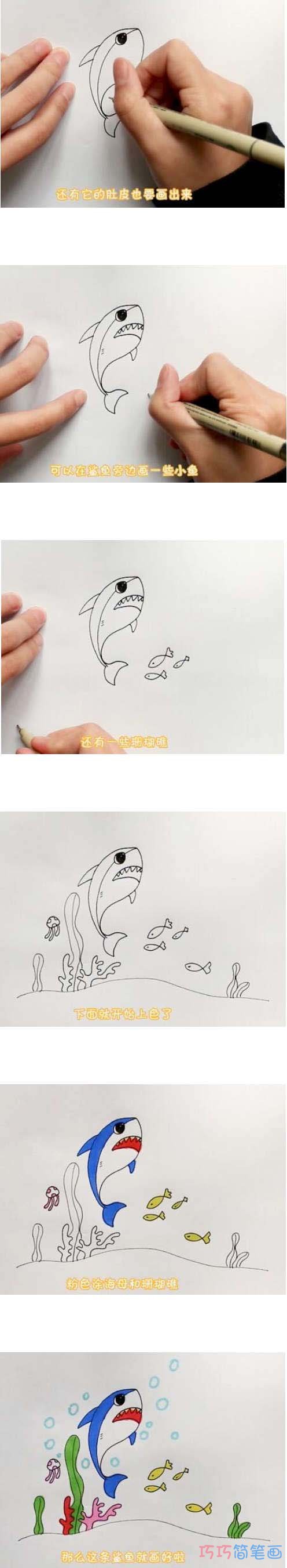 教你一步一步绘画跳跃鲨鱼简笔画涂颜色简单