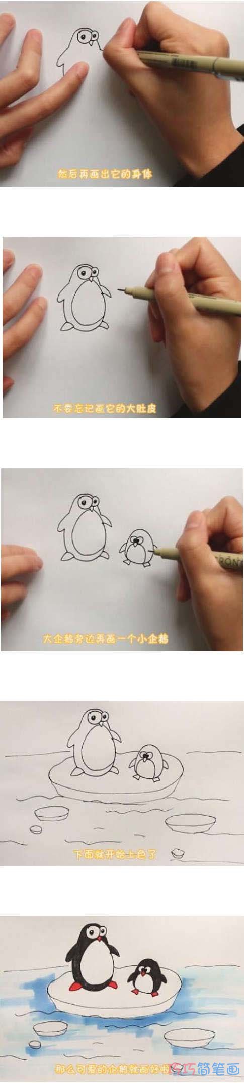 教你怎么画两只小企鹅简笔画步骤教程涂色