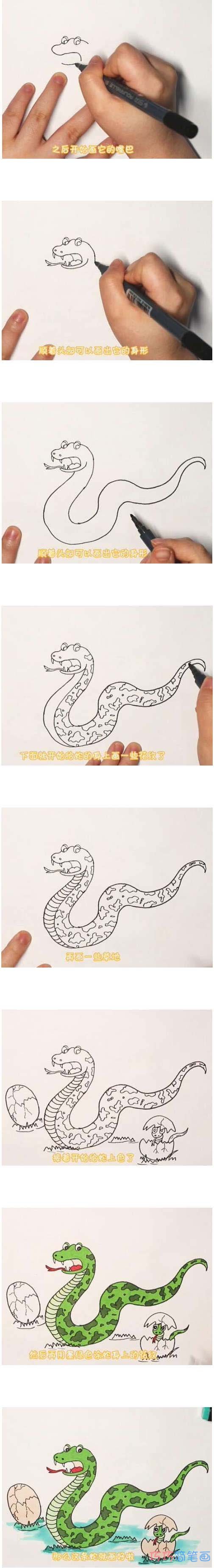 教你怎么画蛇简笔画步骤教程涂颜色