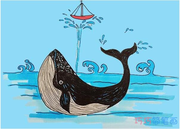 教你怎么画喷水鲸鱼简笔画步骤教程涂颜色