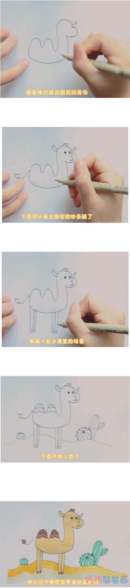 教你如何画骆驼简笔画步骤教程涂颜色
