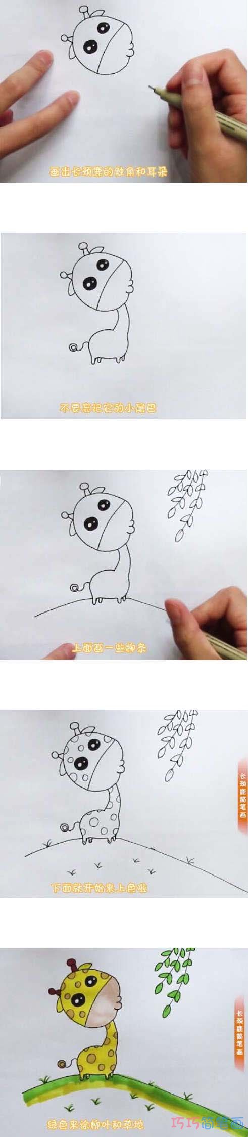 教你如何画长颈鹿简笔画步骤教程涂颜色