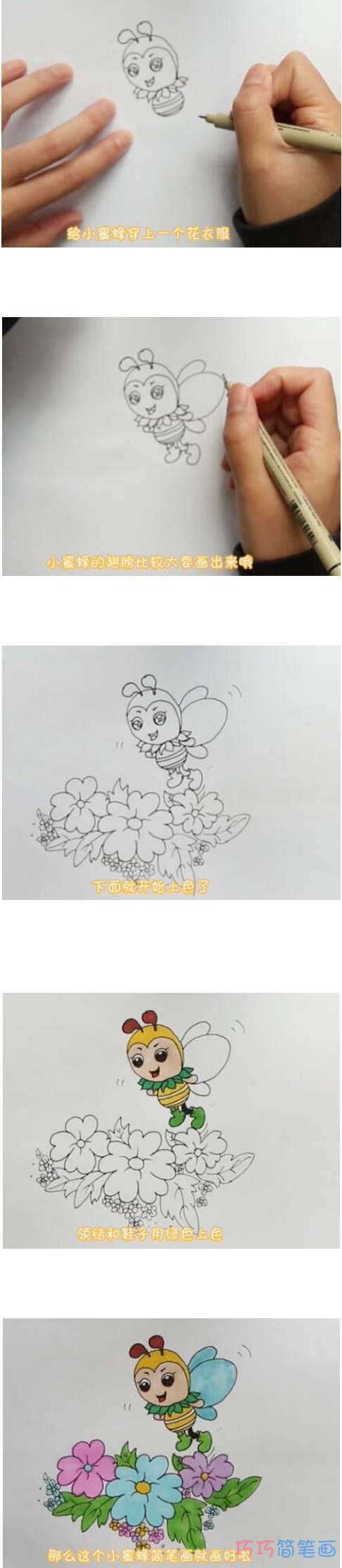 教你如何画采花蜜小蜜蜂简笔画涂颜色
