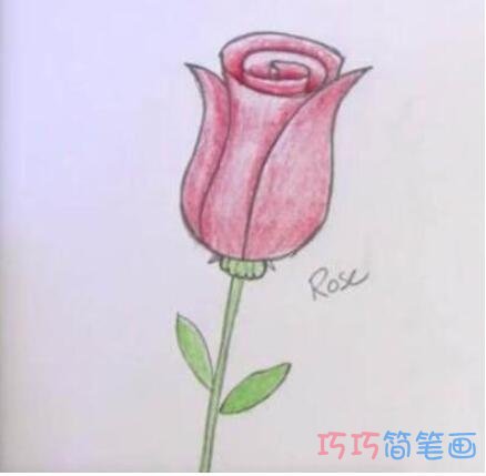 怎么绘画玫瑰花简笔画步骤涂色漂亮