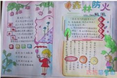 消防小知识森林防火的手抄报简笔画简单漂亮获奖小学生