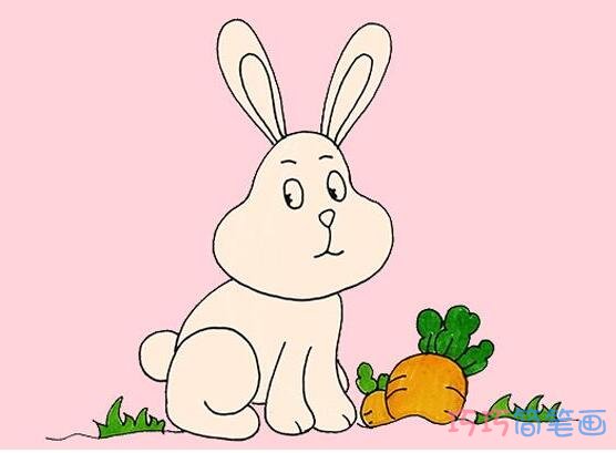 教你一步一步画卡通小白兔简笔画涂色简单