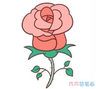 七夕情人节玫瑰花的画法详细步骤教程漂亮