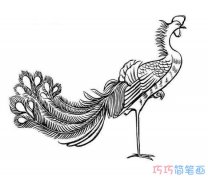 素描神鸟凤凰简笔画画法教程简单漂亮