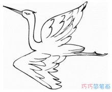 儿童画丹顶鹤怎么画素描简单漂亮