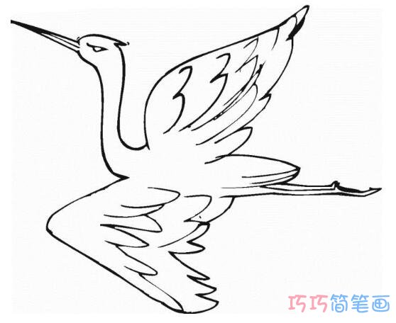 儿童画丹顶鹤怎么画素描简单漂亮