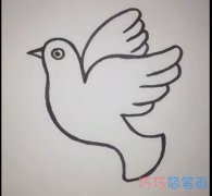 简单鸟儿的画法简笔画视频教程