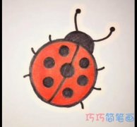 简单好看七星瓢虫的画法简笔画视频教程