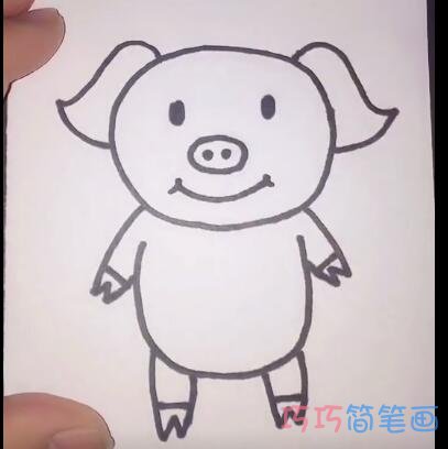 简单可爱小猪猪的画法简笔画视频教程
