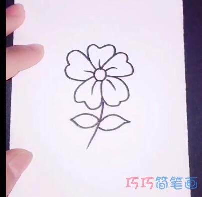 简单紫色小花花的画法简笔画视频教程