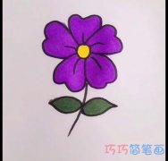 简单紫色小花花的画法简笔画视频教程