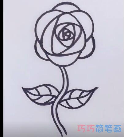 简单简易玫瑰花的画法简笔画视频教程