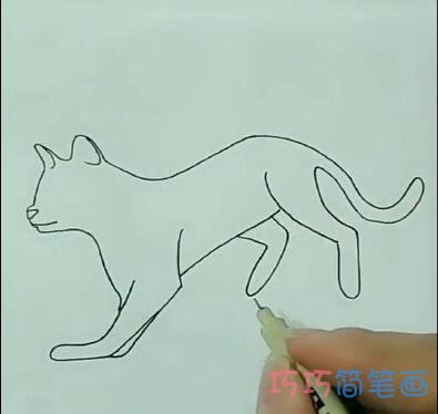 简单小猫的画法简笔画视频教程