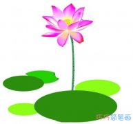 幼儿园怎么画荷花简笔画教程彩色简单漂亮