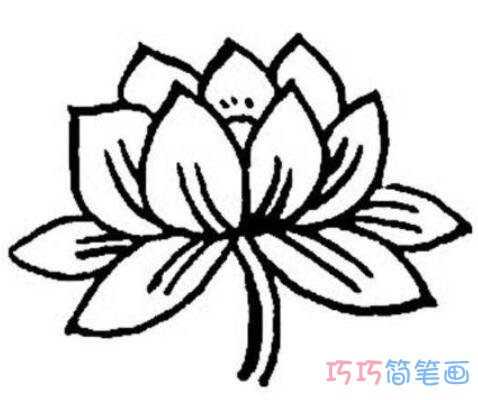 幼儿园怎么画荷花简笔画教程彩色简单漂亮