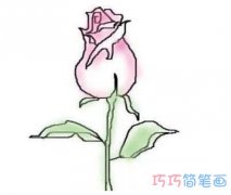 儿童手绘玫瑰花简笔画怎么画简单漂亮