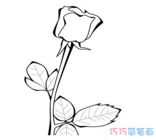 手绘七夕情人节玫瑰花怎么画简单漂亮