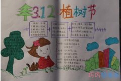 小学生关于312植树节的手抄报的画法简单漂亮