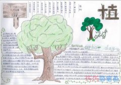 关于植树节植树造林的手抄报的画法简单又漂亮