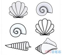 怎么画各种海螺贝壳简笔画画法教程简单