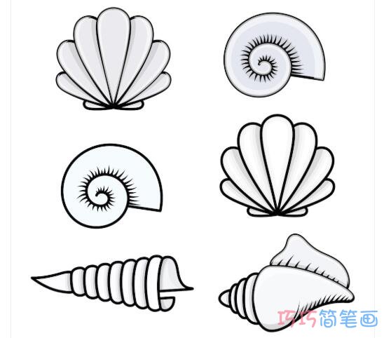 怎么画各种海螺贝壳简笔画画法教程简单