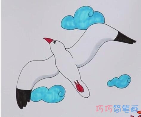幼儿园海鸥简笔画怎么画涂色简单漂亮