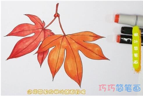 教你怎么画秋天枫叶简笔画步骤教程简单